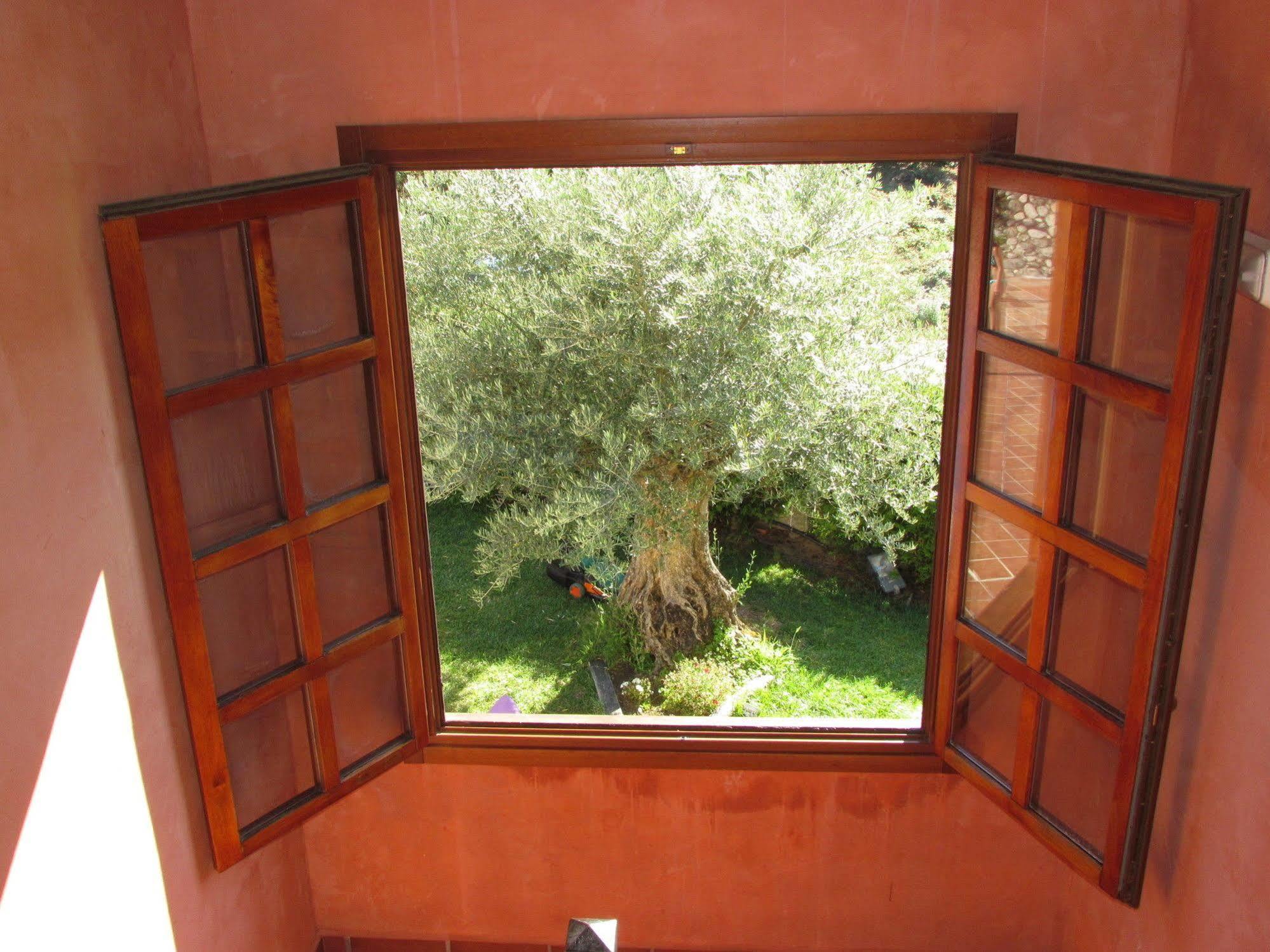 אורנסה Apartamentos Via Nova מראה חיצוני תמונה